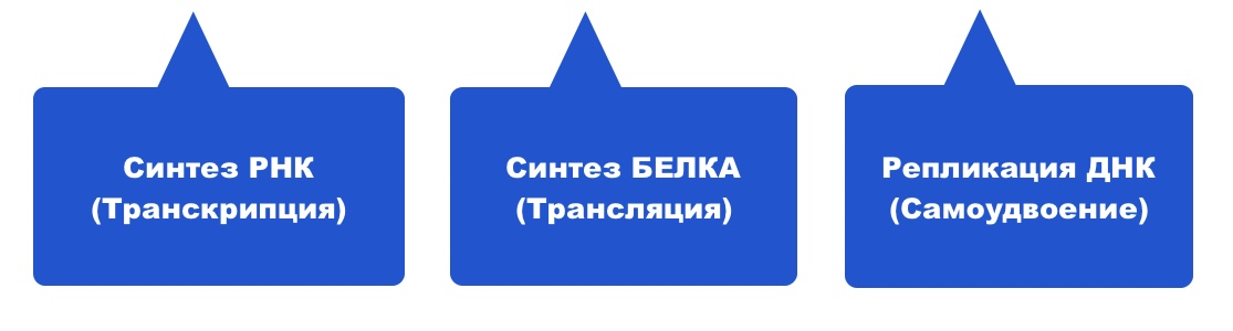 Матричная реакция