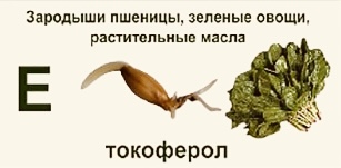 Витамин Е